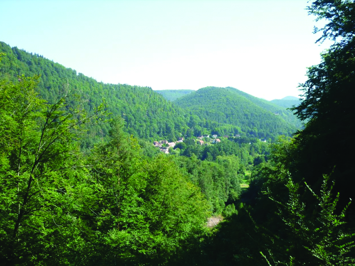 Interconnexion transfrontalière d’une conduite d’eau potable de Schoenau (D) au hameau de Wengelsbach, sur la commune de Niedersteinbach (F)