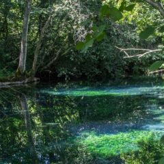 GRETA [GRoundwater EvoluTions and resilience of Associated biodiversity - Upper Rhine]