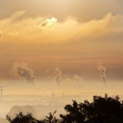 Atmo-VISION : résultats présentés en ligne au grand public