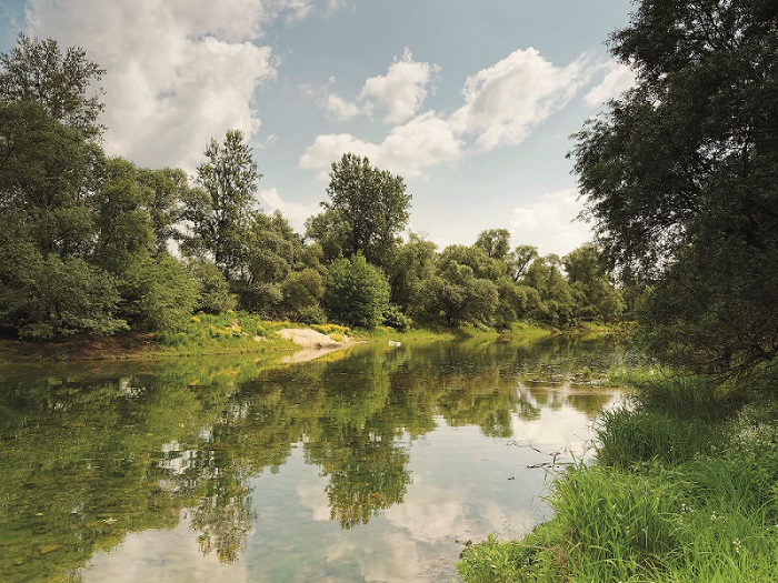 Stratégies pour la réduction de l’apport de biocides dans les eaux souterraines du Rhin supérieur
