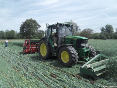 Développer des outils pour améliorer la compétitivité de la production de fruits et légumes biologiques de la région du Rhin supérieur