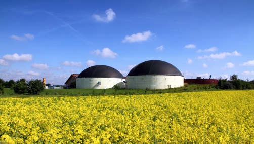 Utilisation efficiente de la biomasse pour une production durable d’énergie et de matériaux biotechnologiques