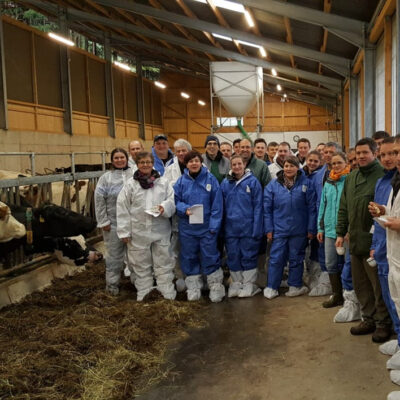 ELENA : Une montée en compétence de l’élevage en Rhin Supérieur pour consolider les filières de production et d’approvisionnement.