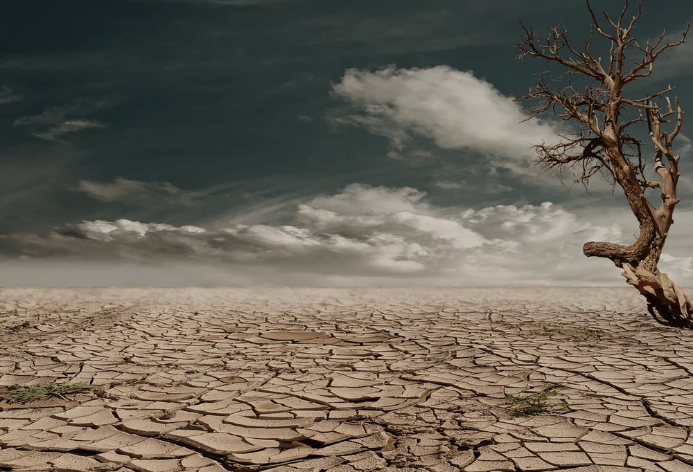 Développer les capacités d’adaptation au changement climatique des PME/PMI dans le Rhin supérieur