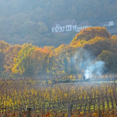 Projet touristique « Lieux mythiques dans le Rhin Supérieur »