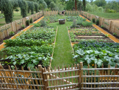 Jardins solidaires du Dreiland : cultivons l'alimentation responsable !