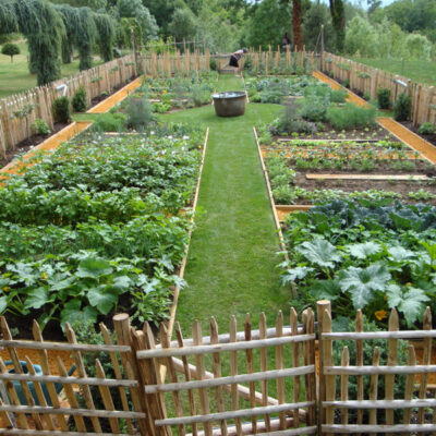 Jardins solidaires du Dreiland : cultivons l’alimentation responsable !