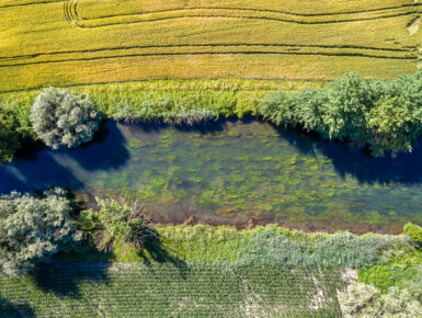 La Sauer, une rivière reliant l'homme à la nature : parcours pédagogique transfrontalier