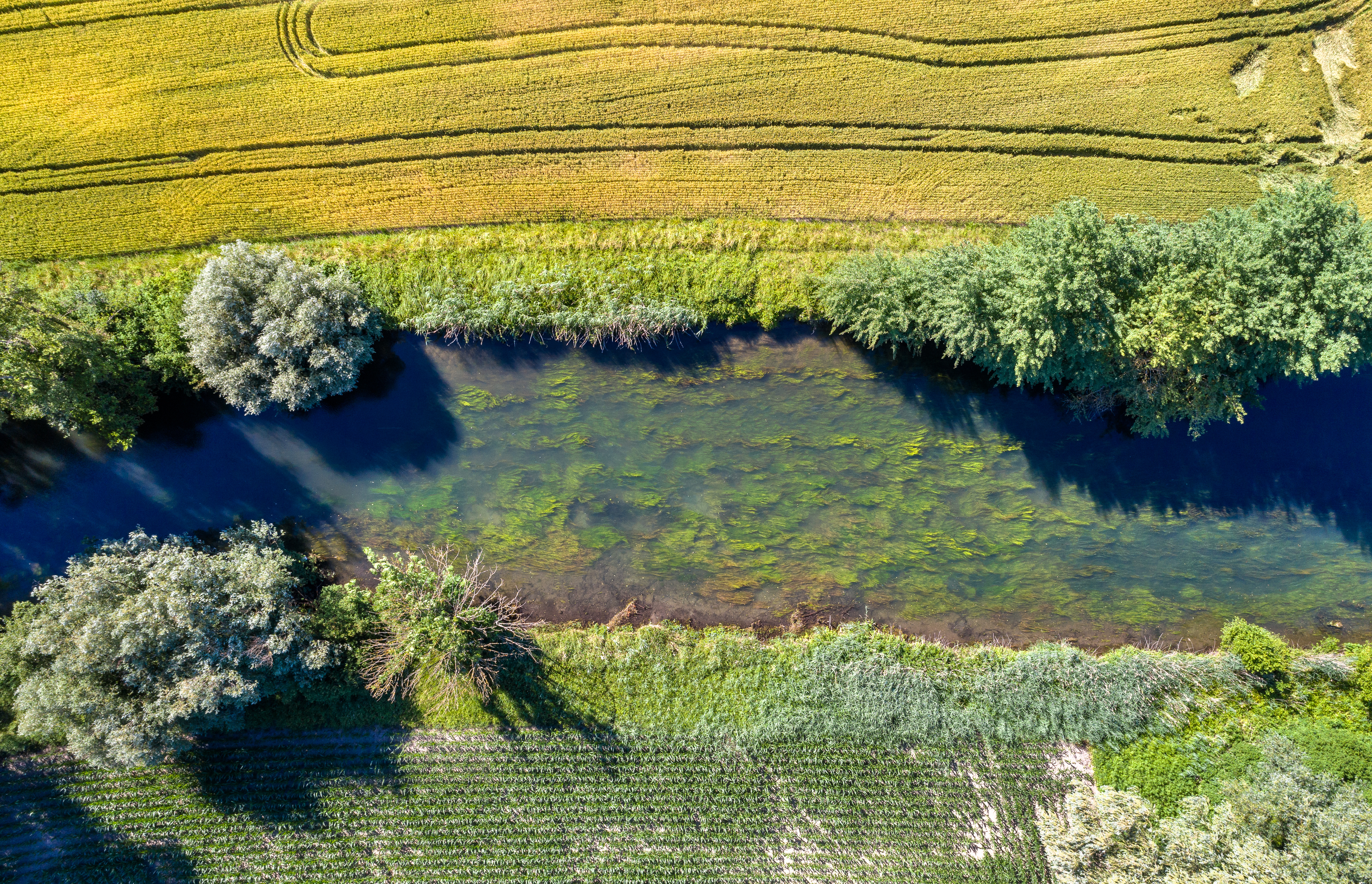 La Sauer, une rivière reliant l’homme à la nature : parcours pédagogique transfrontalier