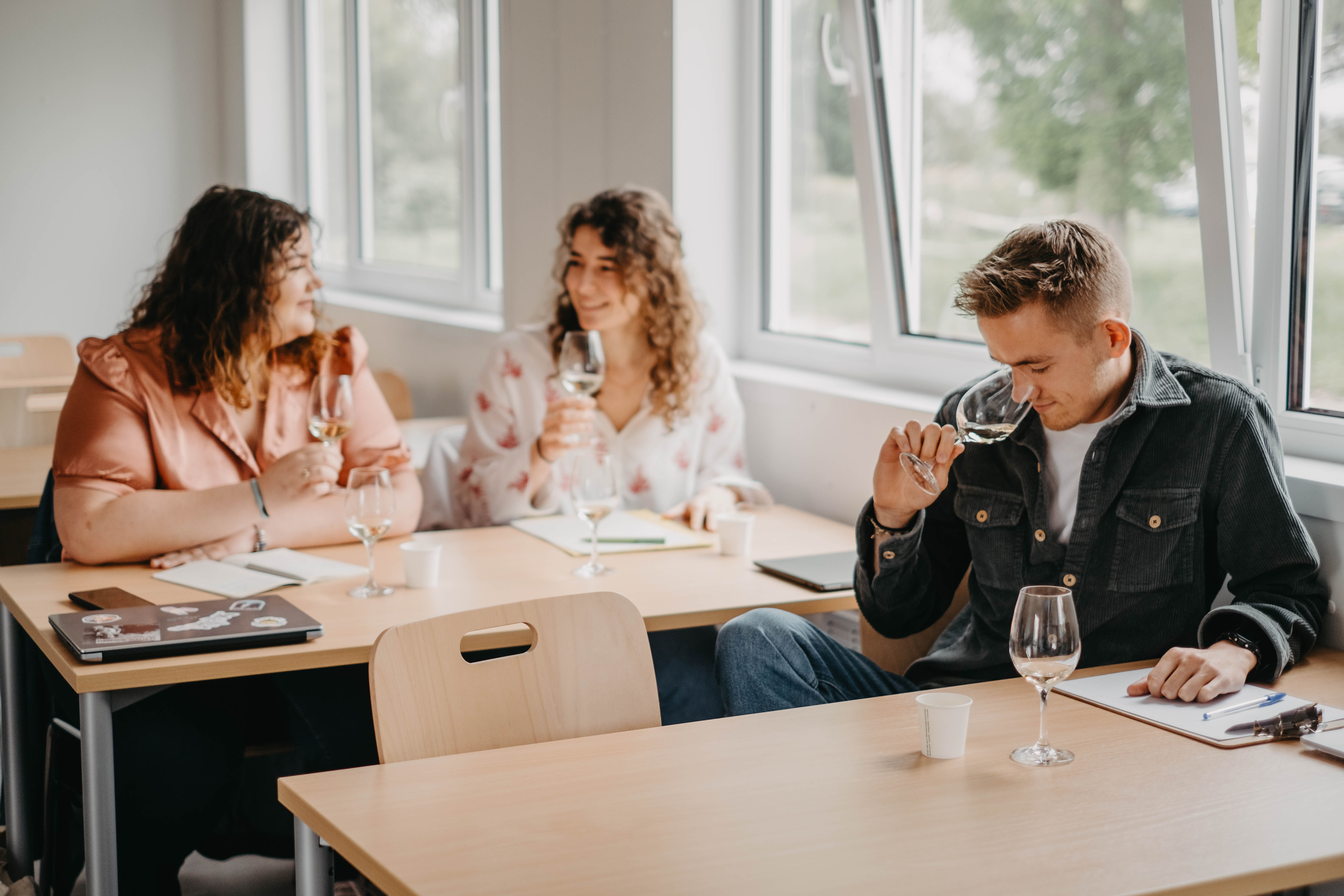 Master franco-allemand viticulture et œnologie en alternance