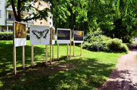 Exposition binationale des photos animalières et de nature
