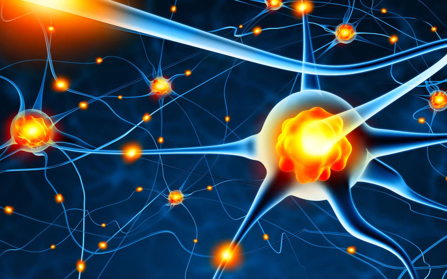 NEURO-RHINE