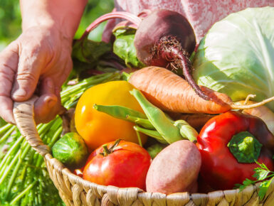 Tous en cuisine ! Cuisine de générations et d'horizons