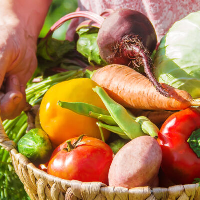 Tous en cuisine ! Cuisine de générations et d’horizons