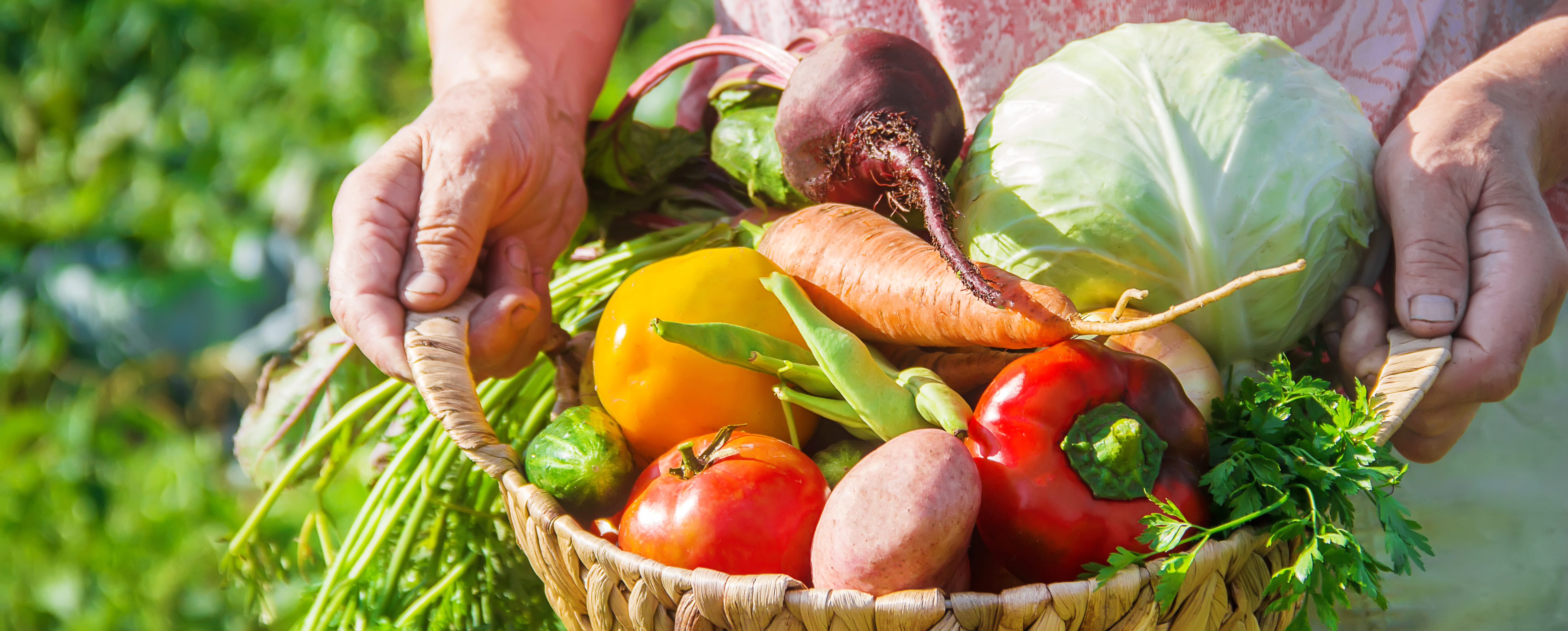 Cuisine de générations et d’horizons