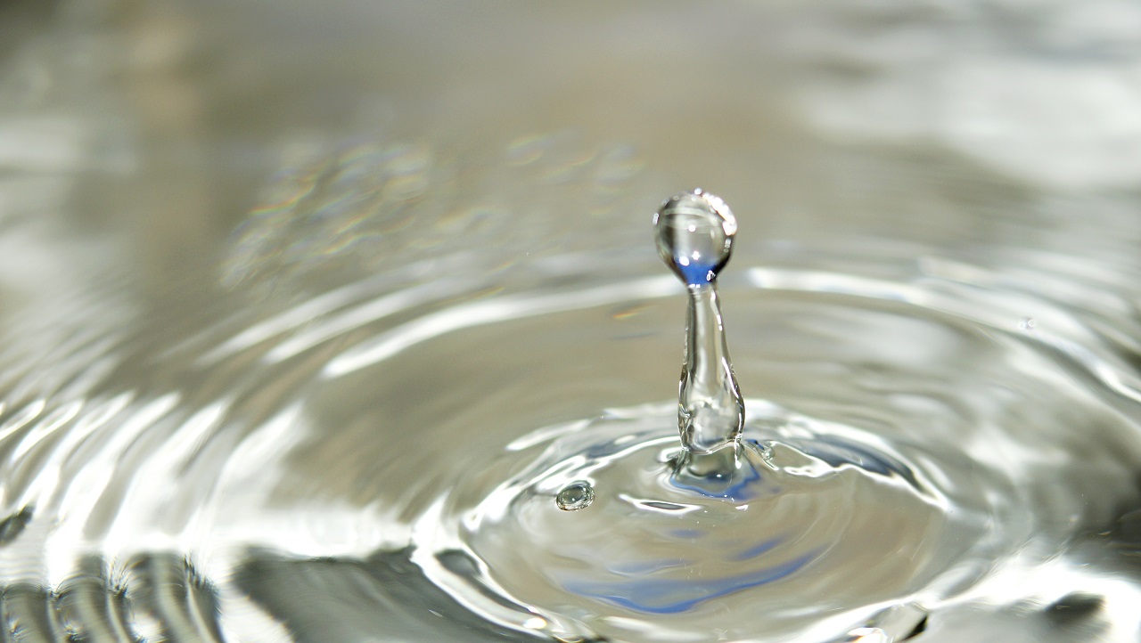 Développement durable concerté et amélioration de la qualité de l’eau de la Lauter par la construction d’une station d’épuration transfrontalière