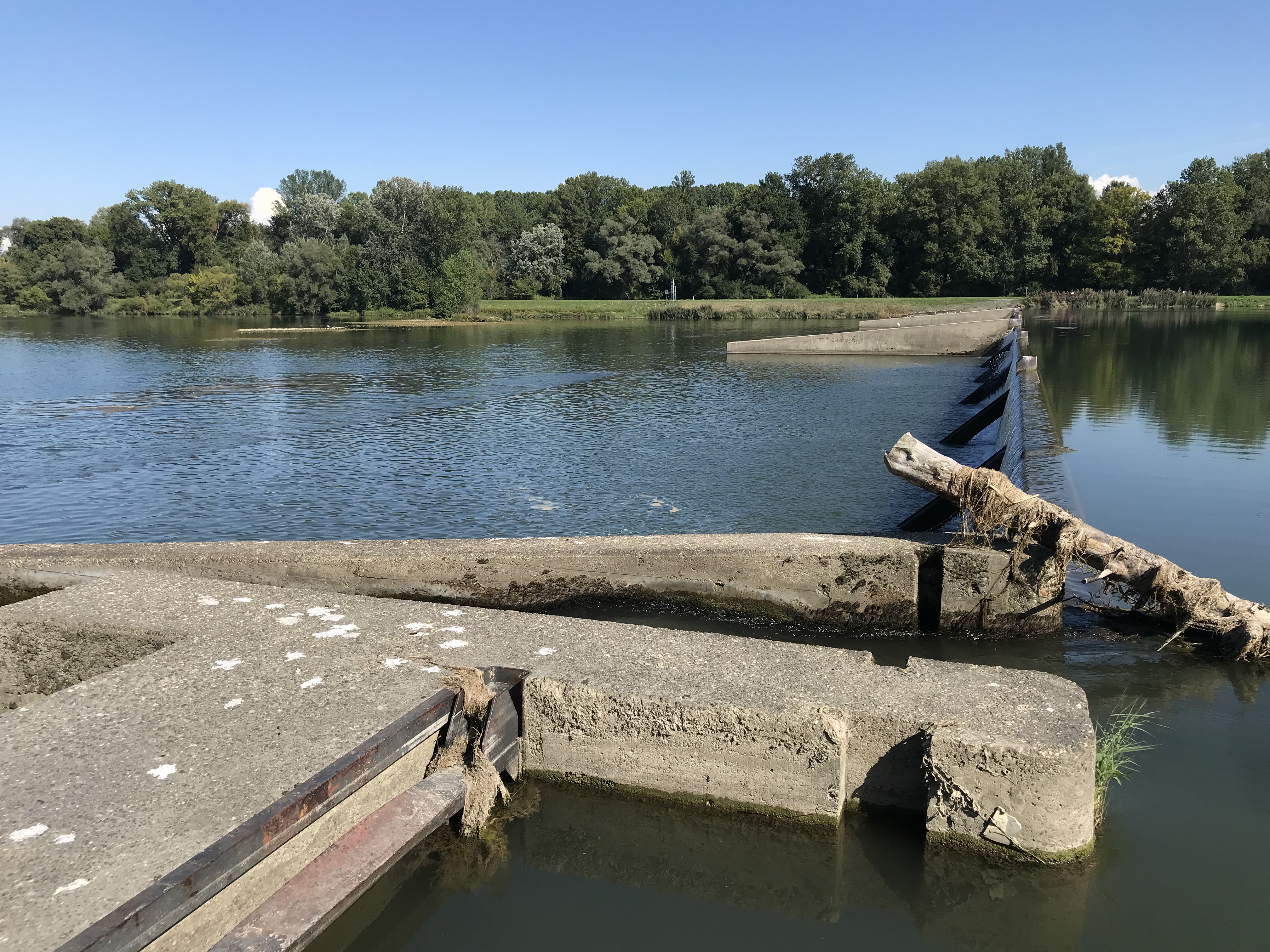 Étude de faisabilité pour la renaturation du Vieux-Rhin et de ses milieux alluviaux dans la réserve naturelle du Taubergieβen et sur l’île de Rhinau