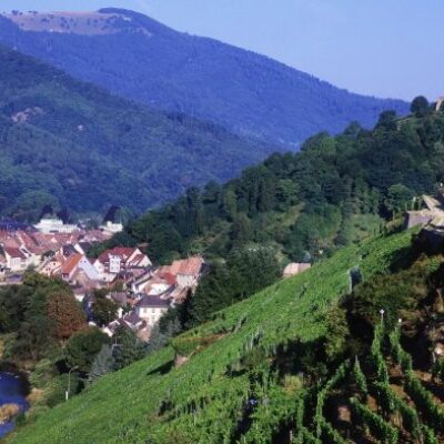 Marketing International de la Destination UPPER RHINE VALLEY