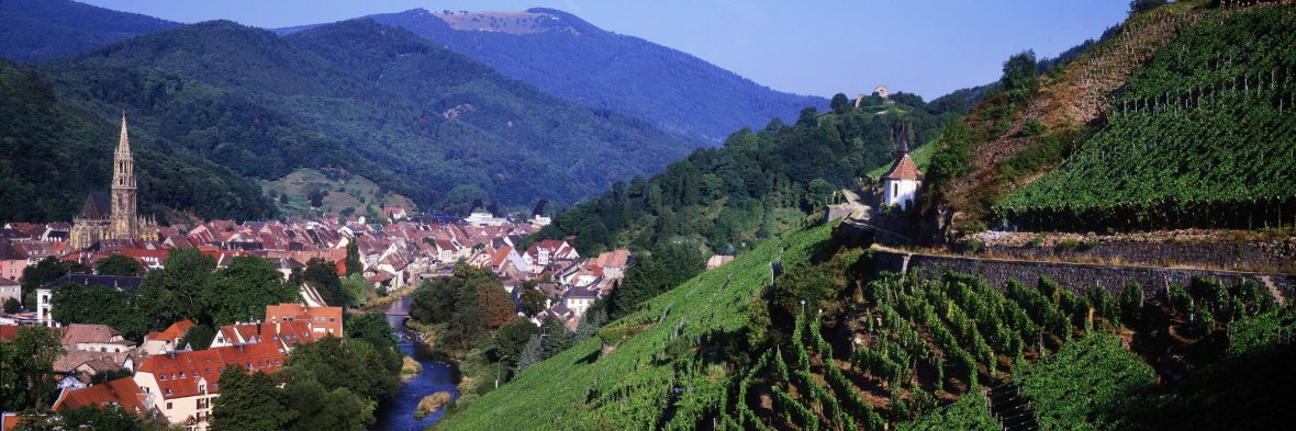 Marketing International de la Destination UPPER RHINE VALLEY