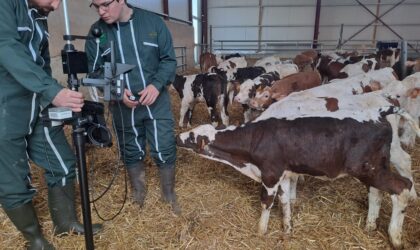 Accompagner les fermes d’élevage dans l’adaptation au changement climatique