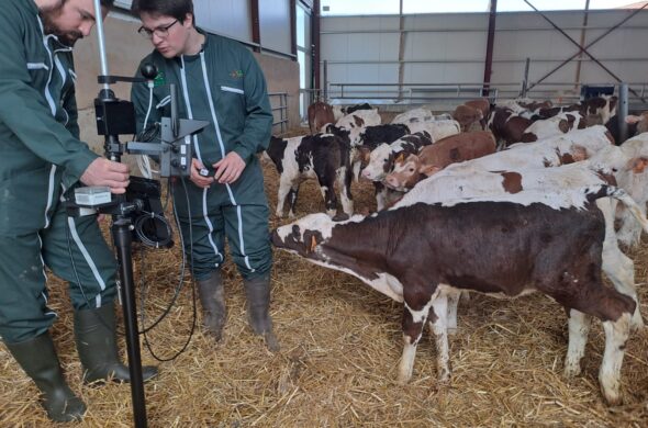 Accompagner les fermes d’élevage dans l’adaptation au changement climatique