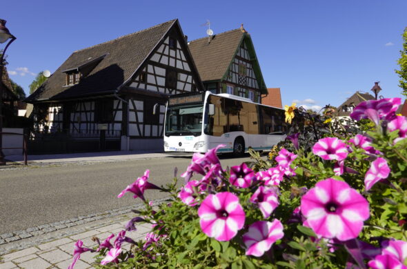 Un bus express transfrontalier pour relier Rastatt, Seltz, Soufflenheim et Haguenau