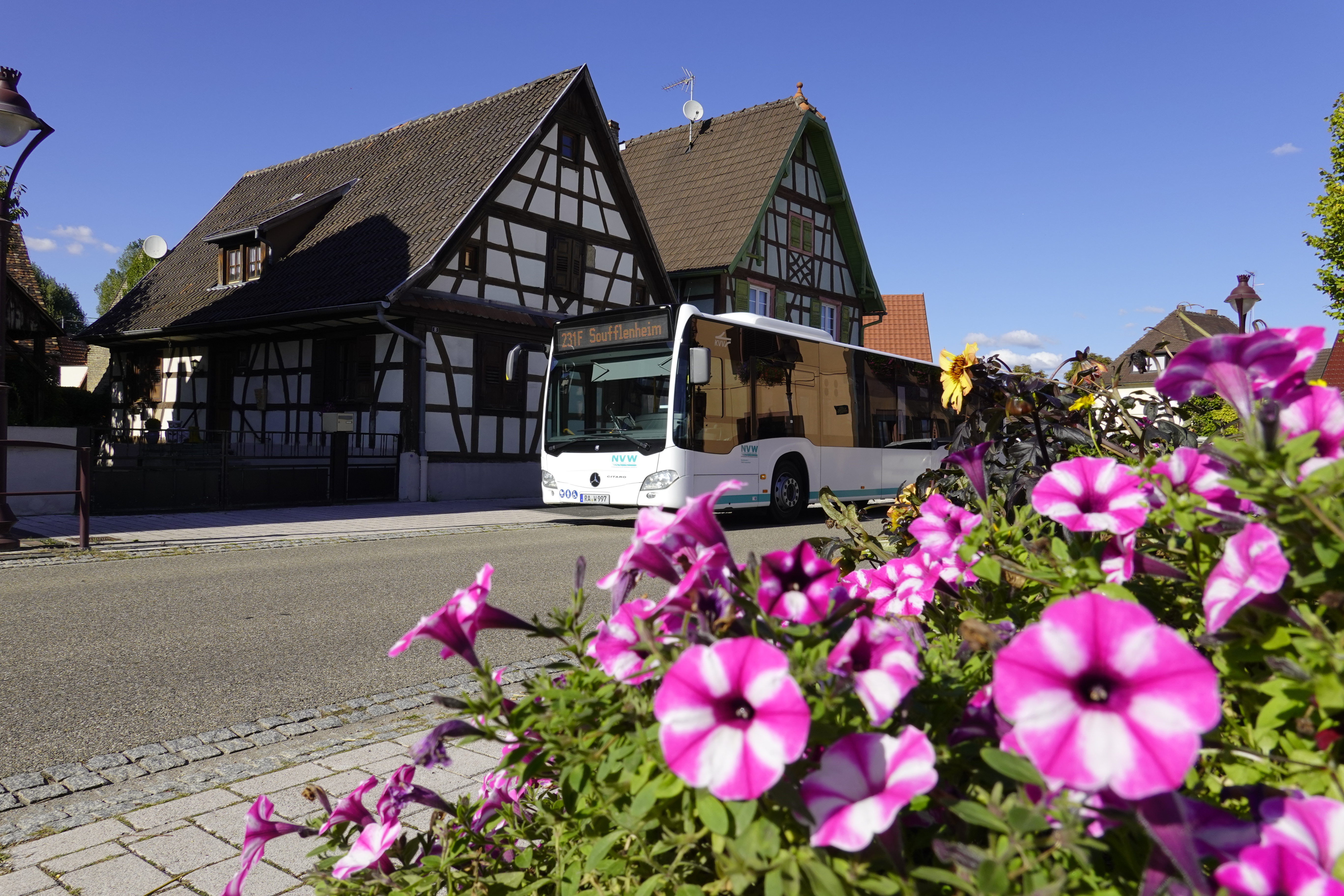 Un bus express transfrontalier pour relier Rastatt, Seltz, Soufflenheim et Haguenau