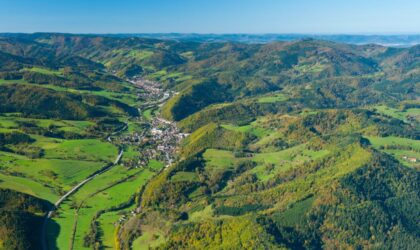Pour une culture rhénane du risque climatique en entreprise