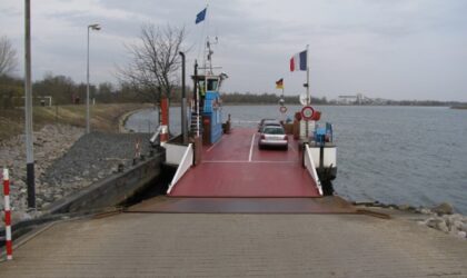 Etudes techniques pour le verdissement des bacs rhénans « Drusus » et « Rhenanus »