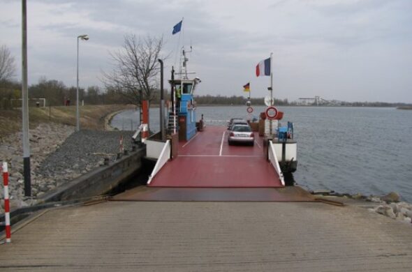 Etudes techniques pour le verdissement des bacs rhénans « Drusus » et « Rhenanus »