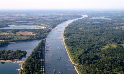 Restaurer les zones alluviales du Rhin pour préserver les espèces et les paysages