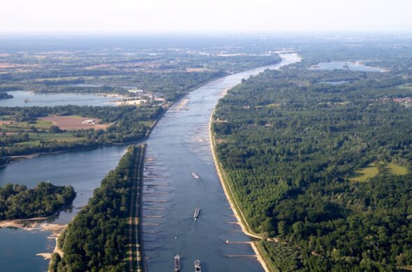 Restaurer les zones alluviales du Rhin pour préserver les espèces et les paysages