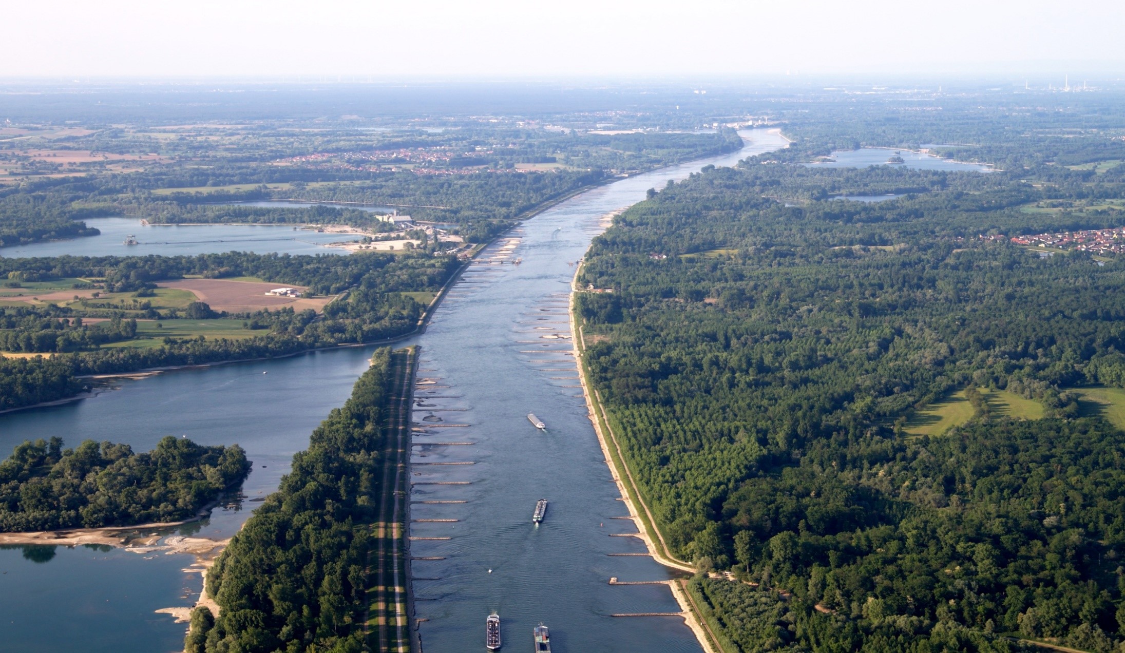 Restaurer les zones alluviales du Rhin pour préserver les espèces et les paysages