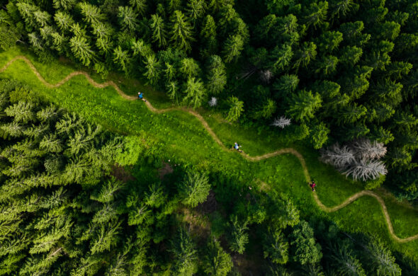 Un réseau transfrontalier pour le trail et la course en montagne dans le Rhin supérieur