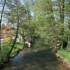 RiverDiv : Protection de la diversité, réduction de la pollution de la Wieslauter - Gestion du cours d'eau adaptée aux défis du changement climatique