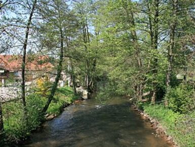RiverDiv : Protection de la diversité, réduction de la pollution de la Wieslauter - Gestion du cours d'eau adaptée aux défis du changement climatique