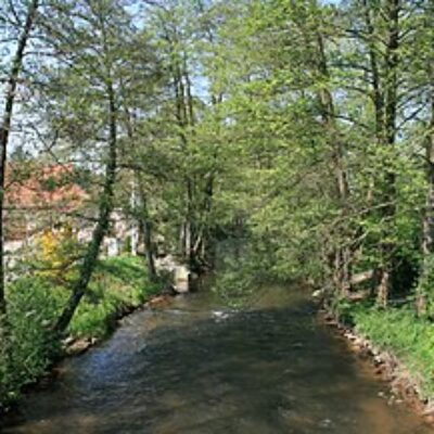 RiverDiv : Protection de la diversité, réduction de la pollution de la Wieslauter – Gestion du cours d’eau adaptée aux défis du changement climatique