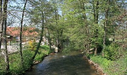 Protection de la diversité, réduction de la pollution de la Wieslauter - Gestion du cours d'eau adaptée aux défis du changement climatique