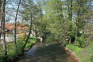 Protection de la diversité, réduction de la pollution de la Wieslauter – Gestion du cours d’eau adaptée aux défis du changement climatique